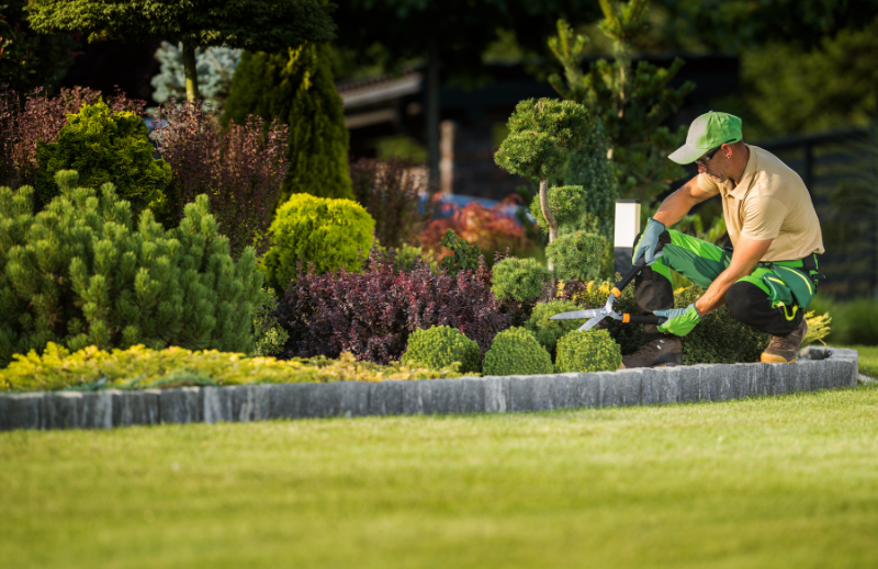 Cómo mantener un jardín saludable durante todo el año