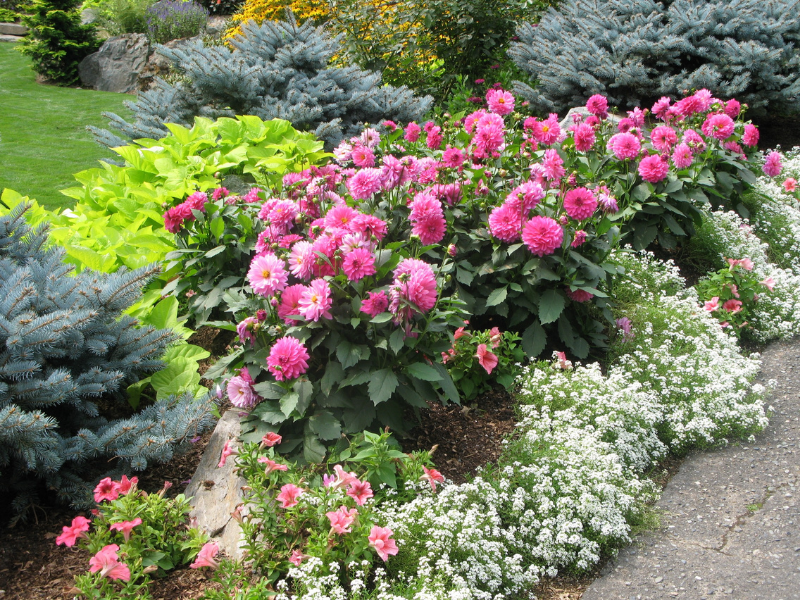 Cómo mantener un jardín saludable durante todo el año