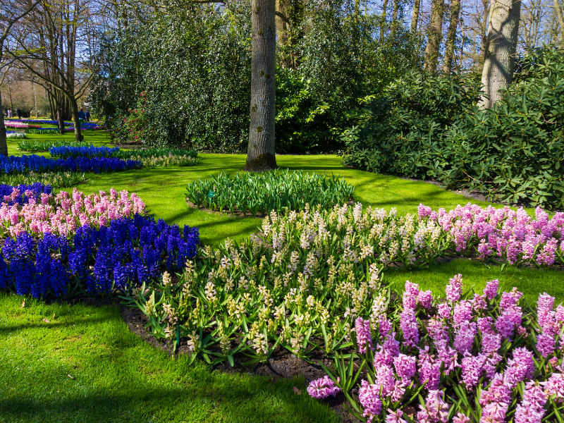 Cómo mantener un jardín saludable durante todo el año