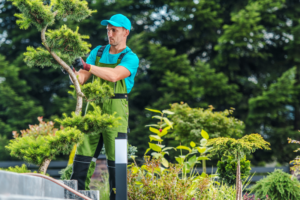 Servicios de jardinería